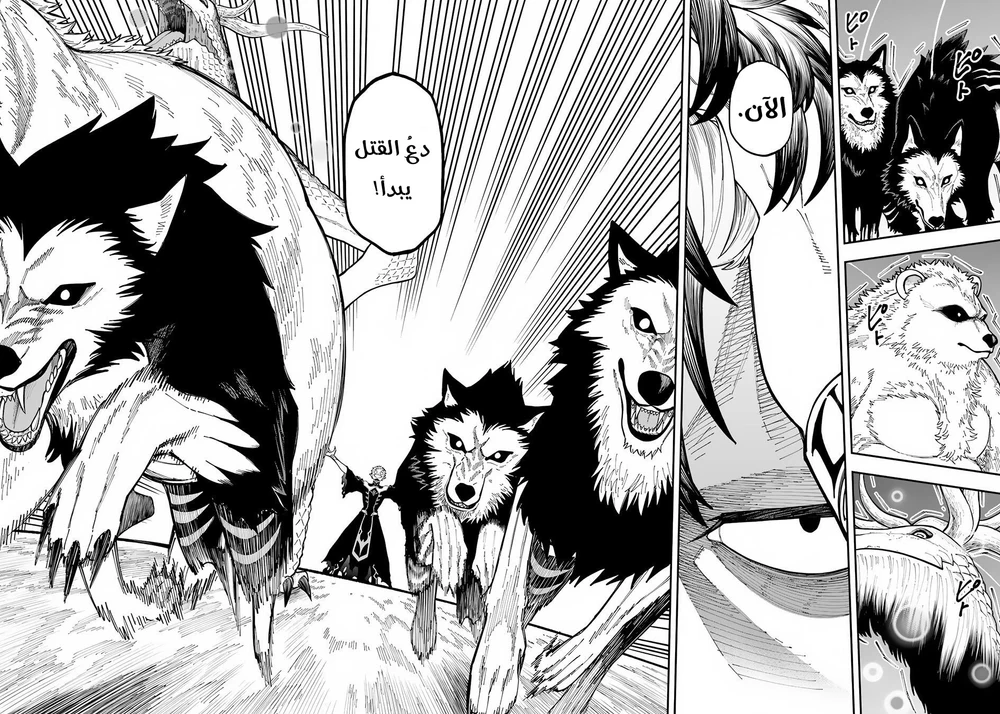 Chapter Image 11