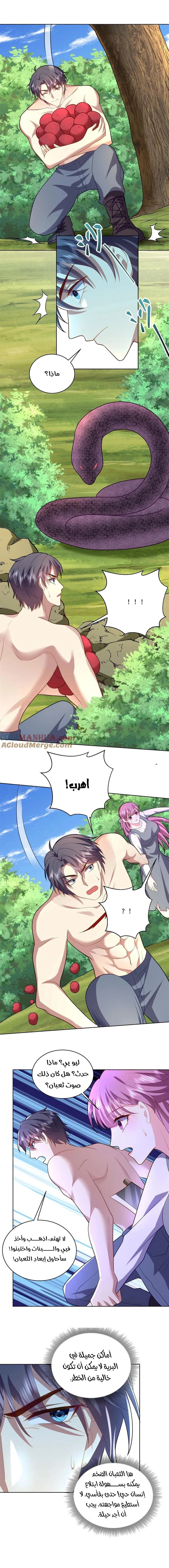 Chapter Image 4
