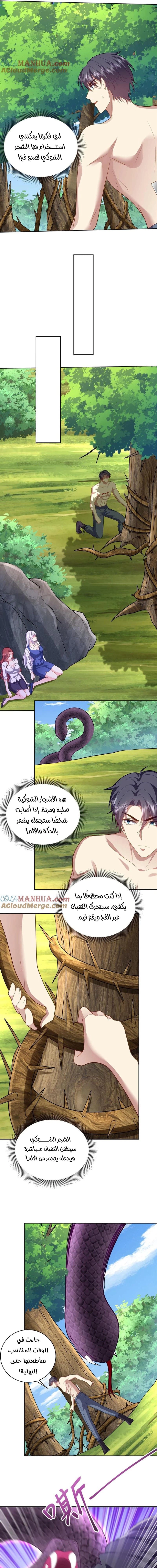 Chapter Image 5