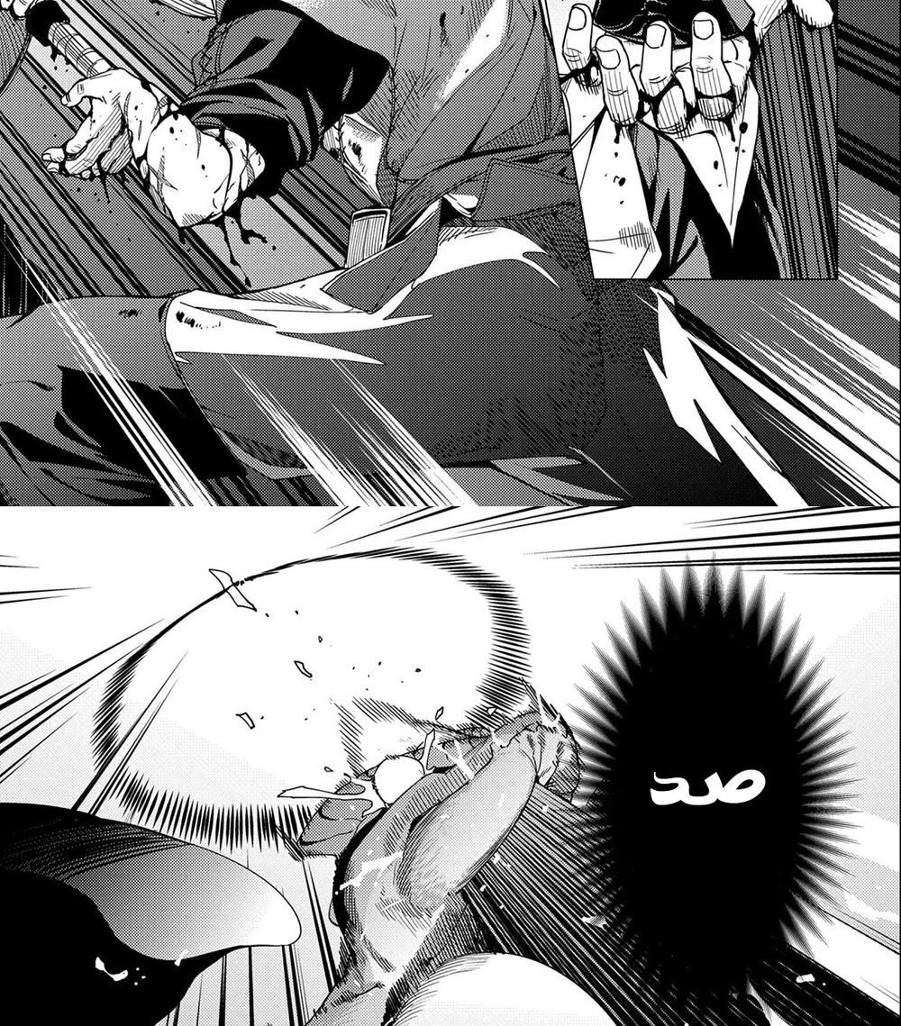Chapter Image 17
