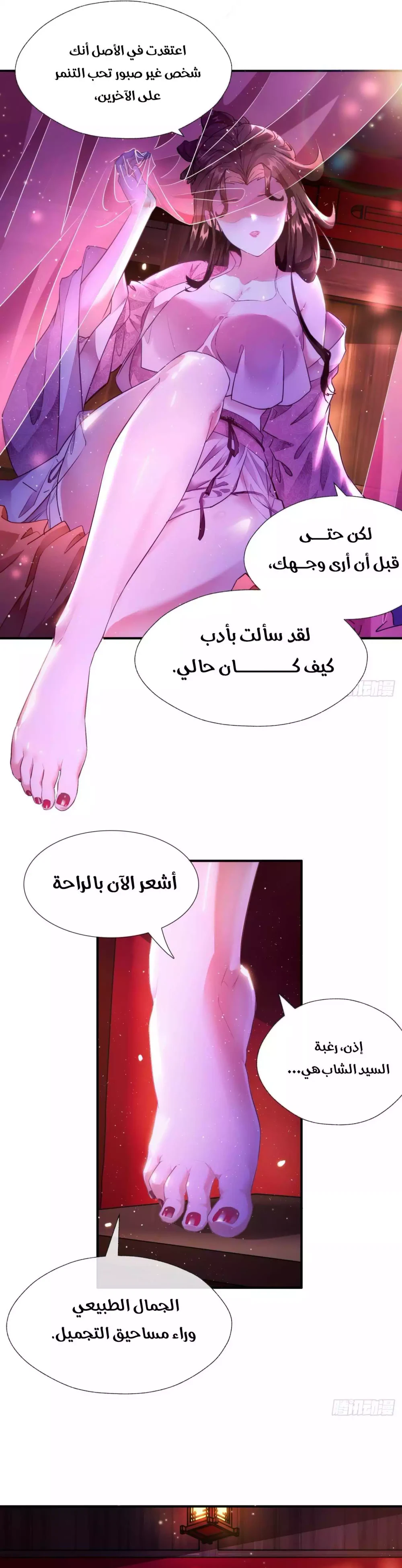 Chapter Image 5