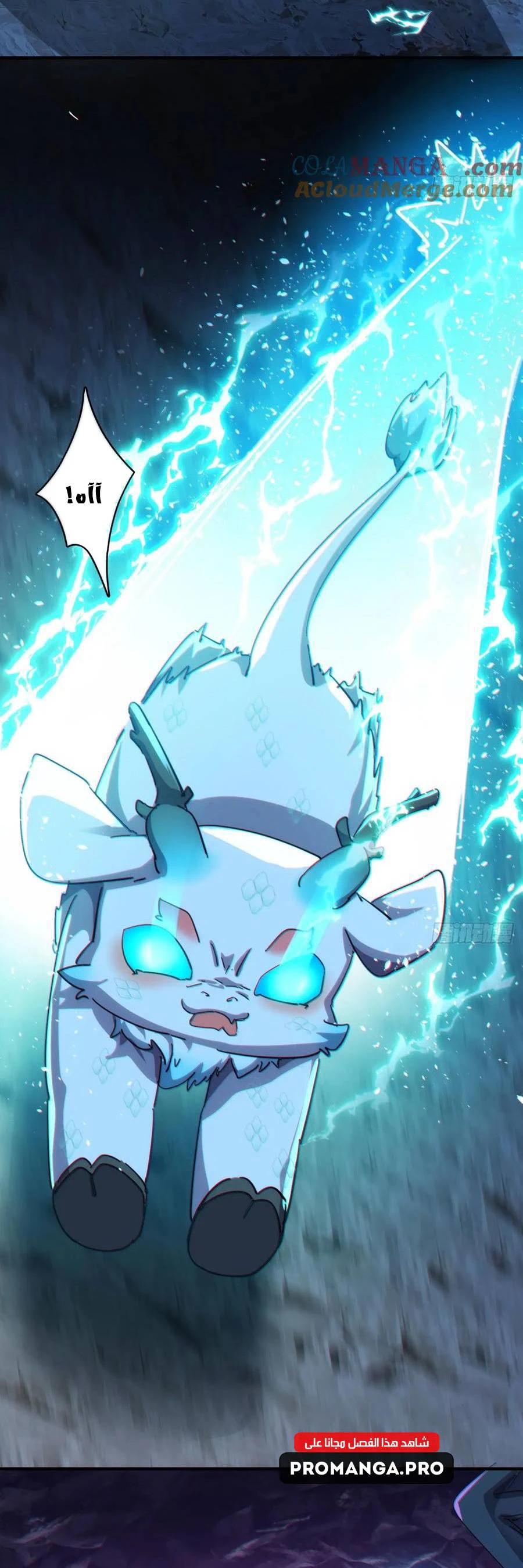 Chapter Image 5