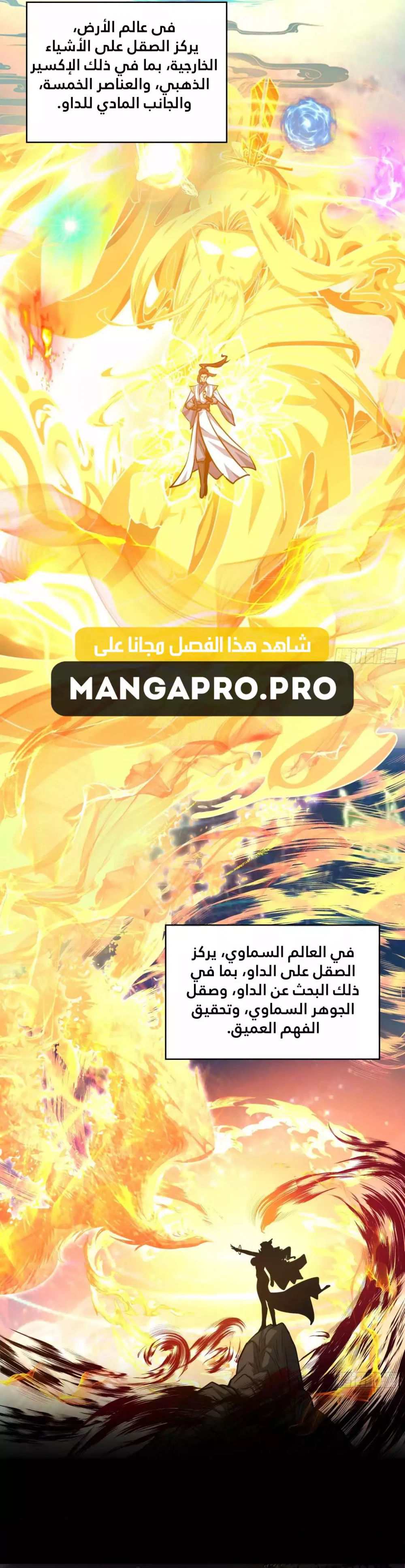 Chapter Image 4