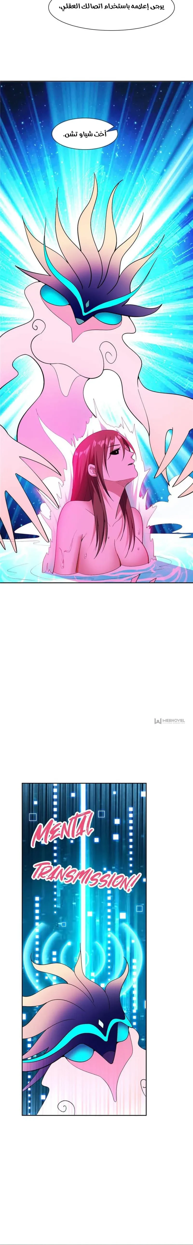 Chapter Image 4