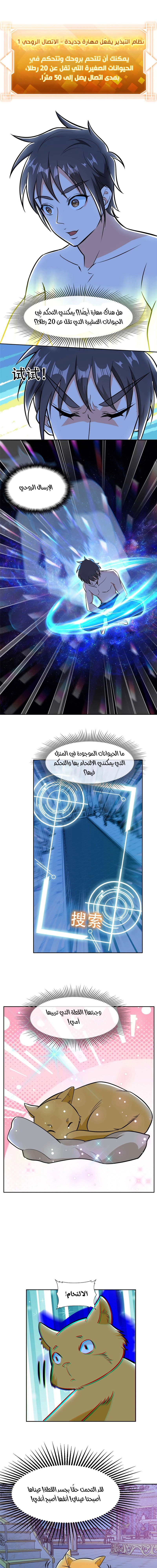 Chapter Image 5