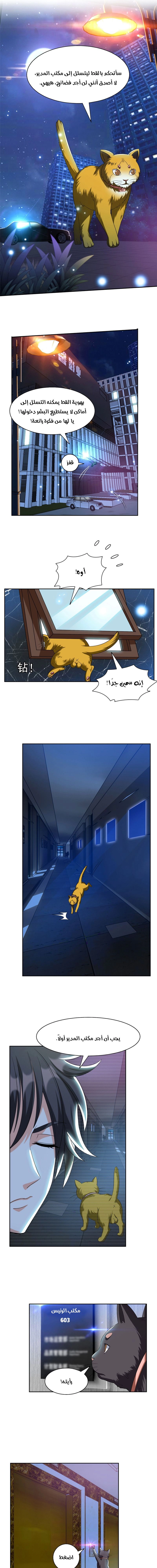 Chapter Image 5
