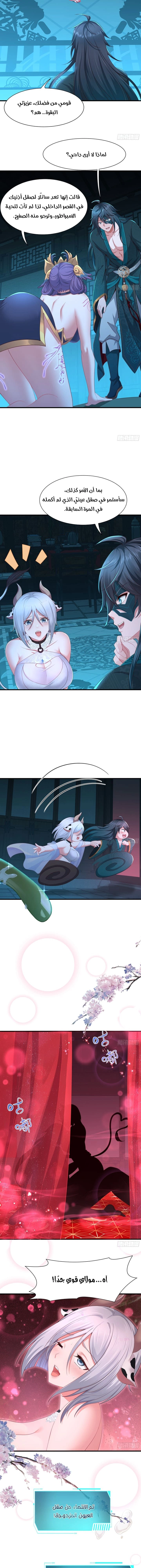 Chapter Image 2