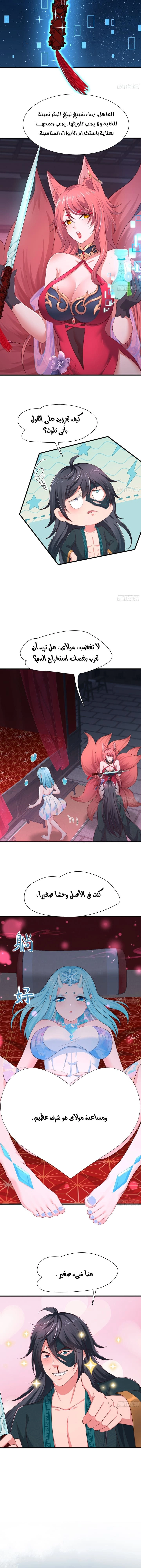 Chapter Image 5
