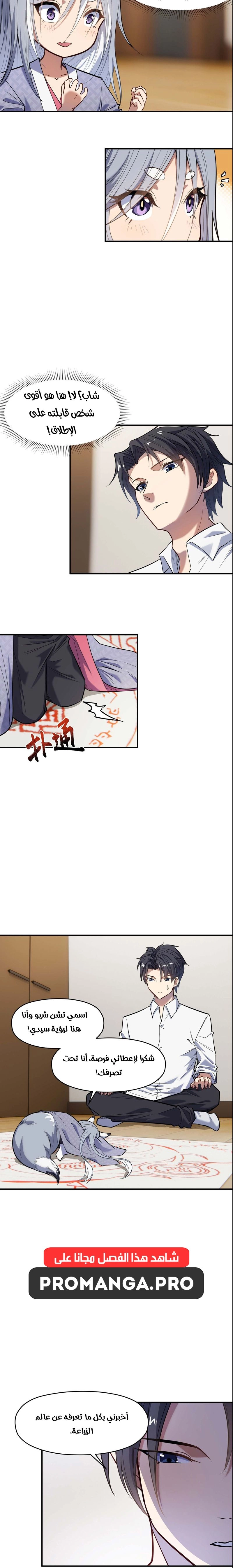 Chapter Image 4