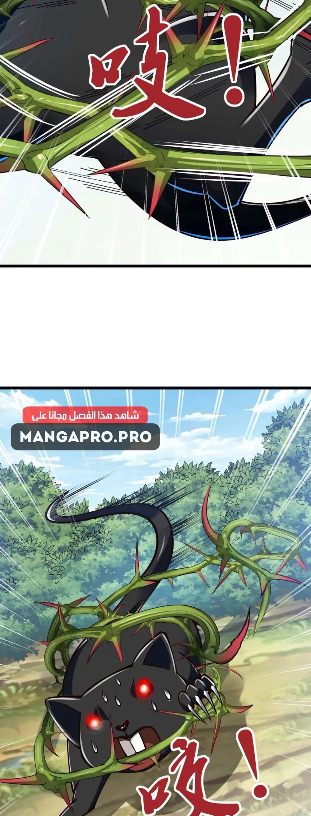 Chapter Image 17