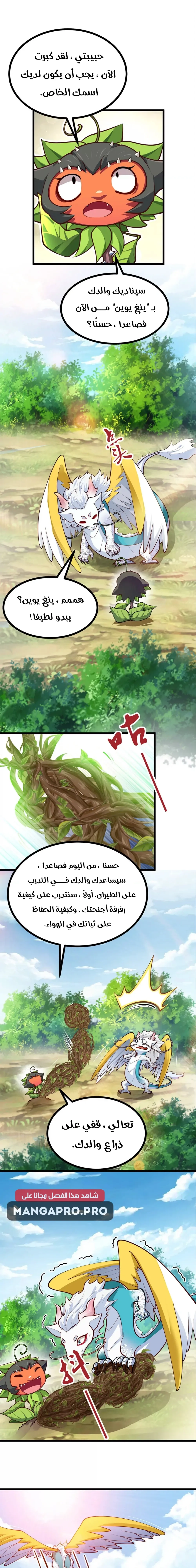 Chapter Image 9