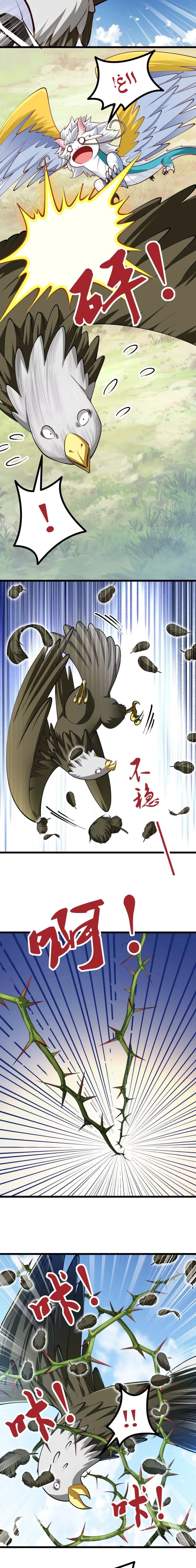 Chapter Image 5
