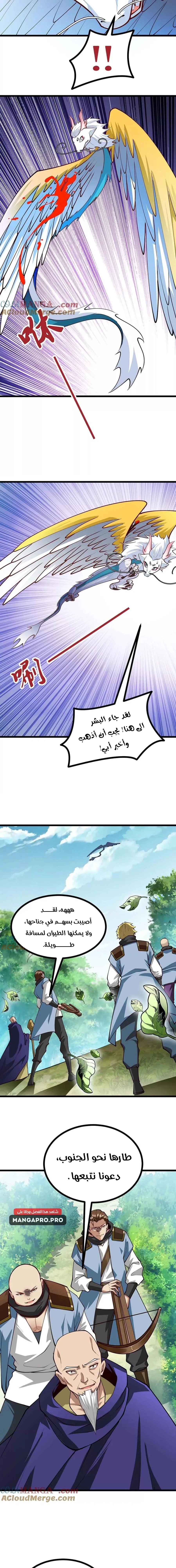 Chapter Image 19