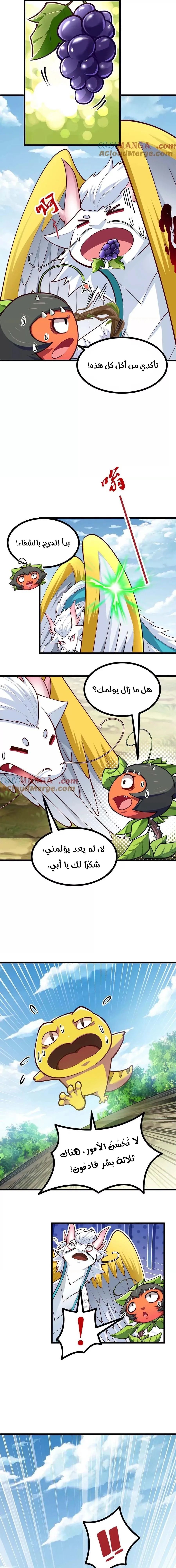 Chapter Image 3