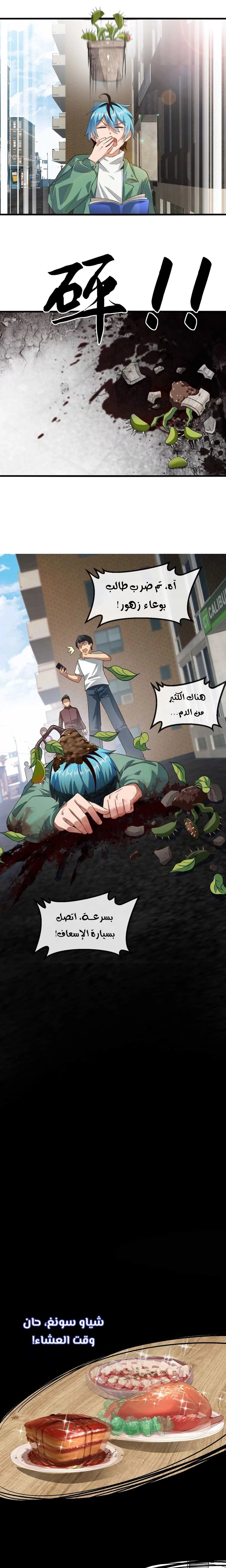 Chapter Image 5