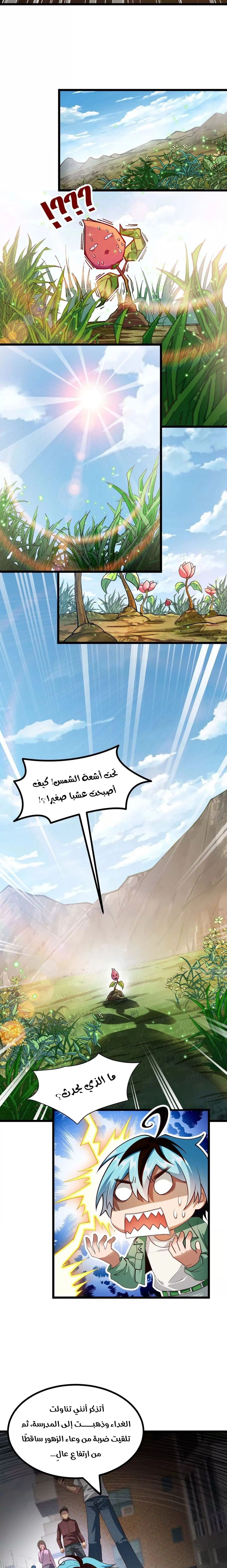 Chapter Image 8