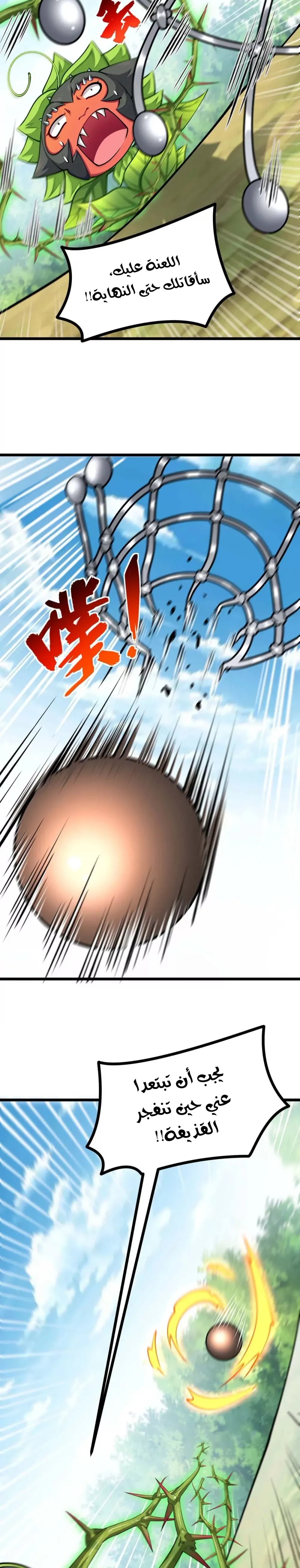 Chapter Image 4