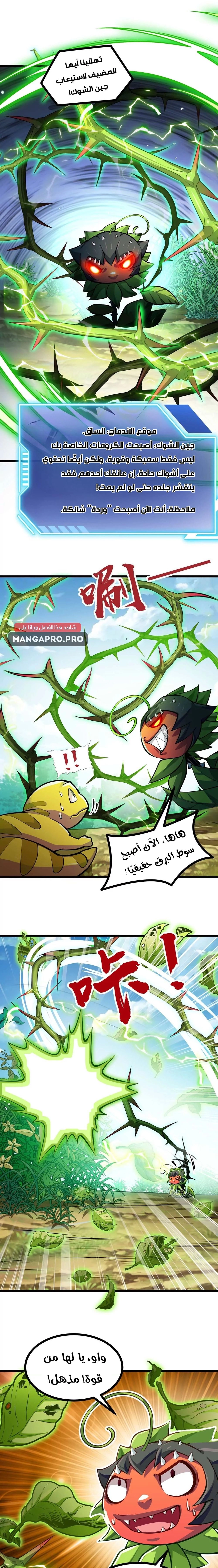 Chapter Image 12