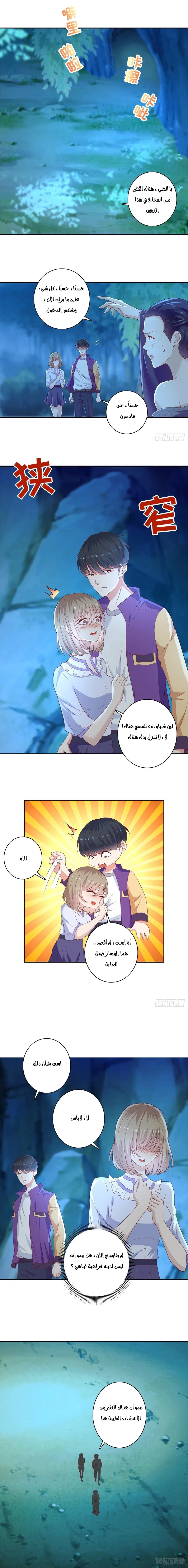 Chapter Image 5