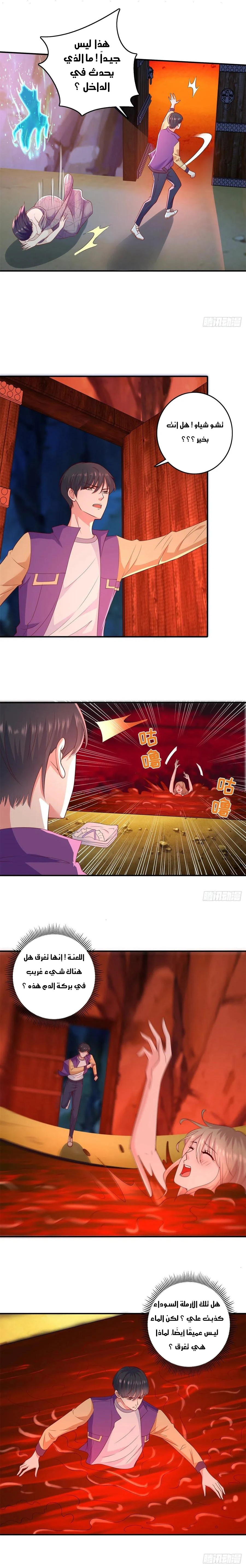 Chapter Image 5