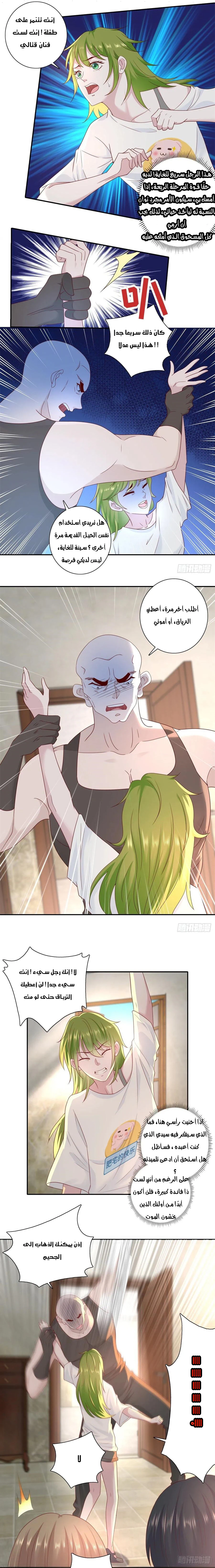Chapter Image 5