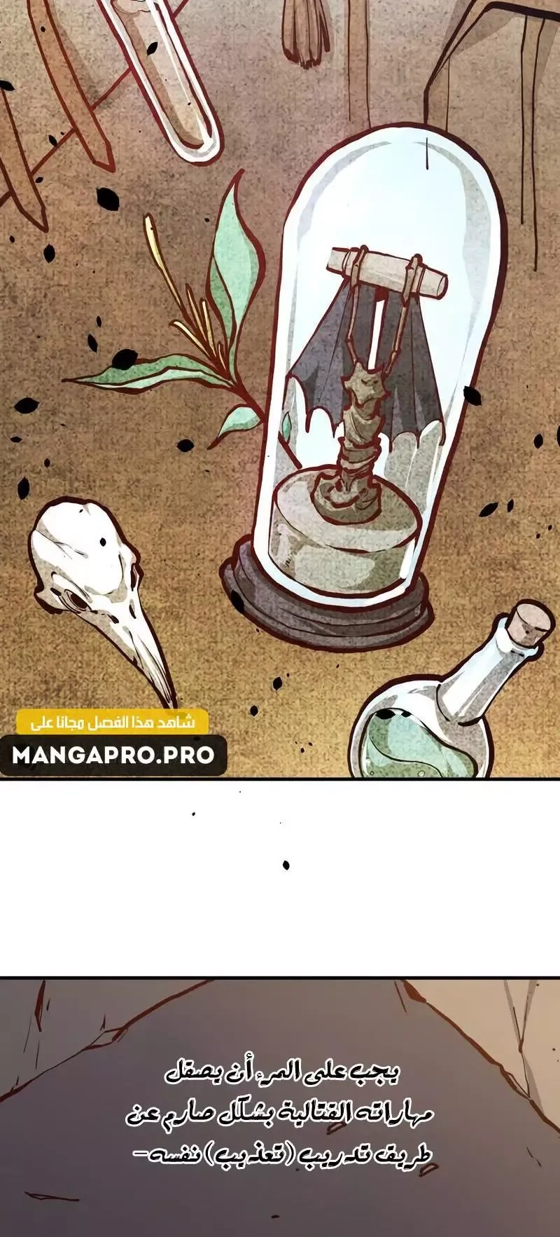 Chapter Image 4