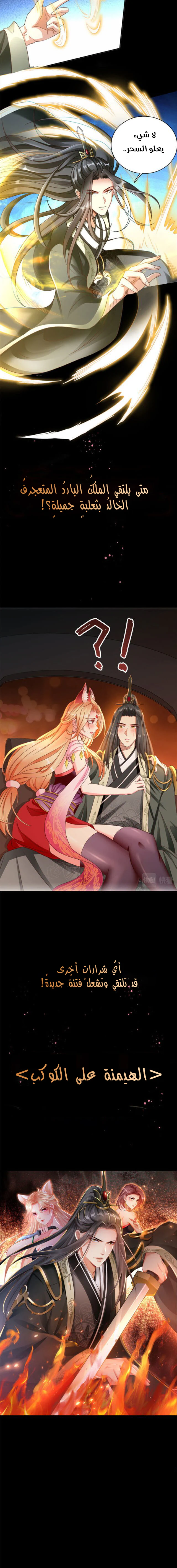 Chapter Image 5