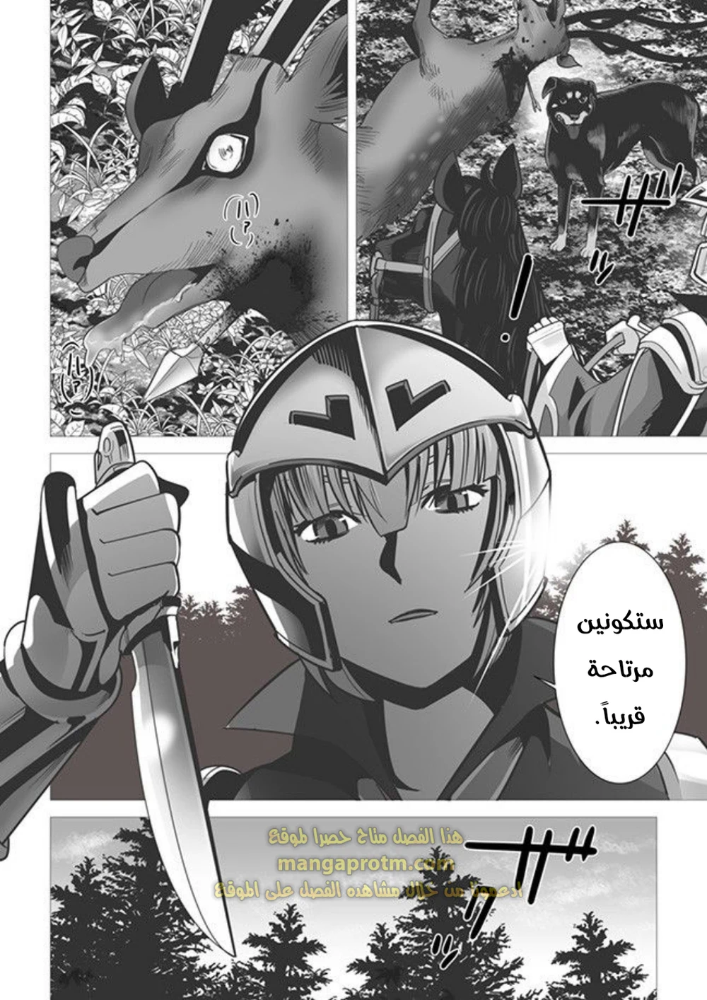 Chapter Image 7