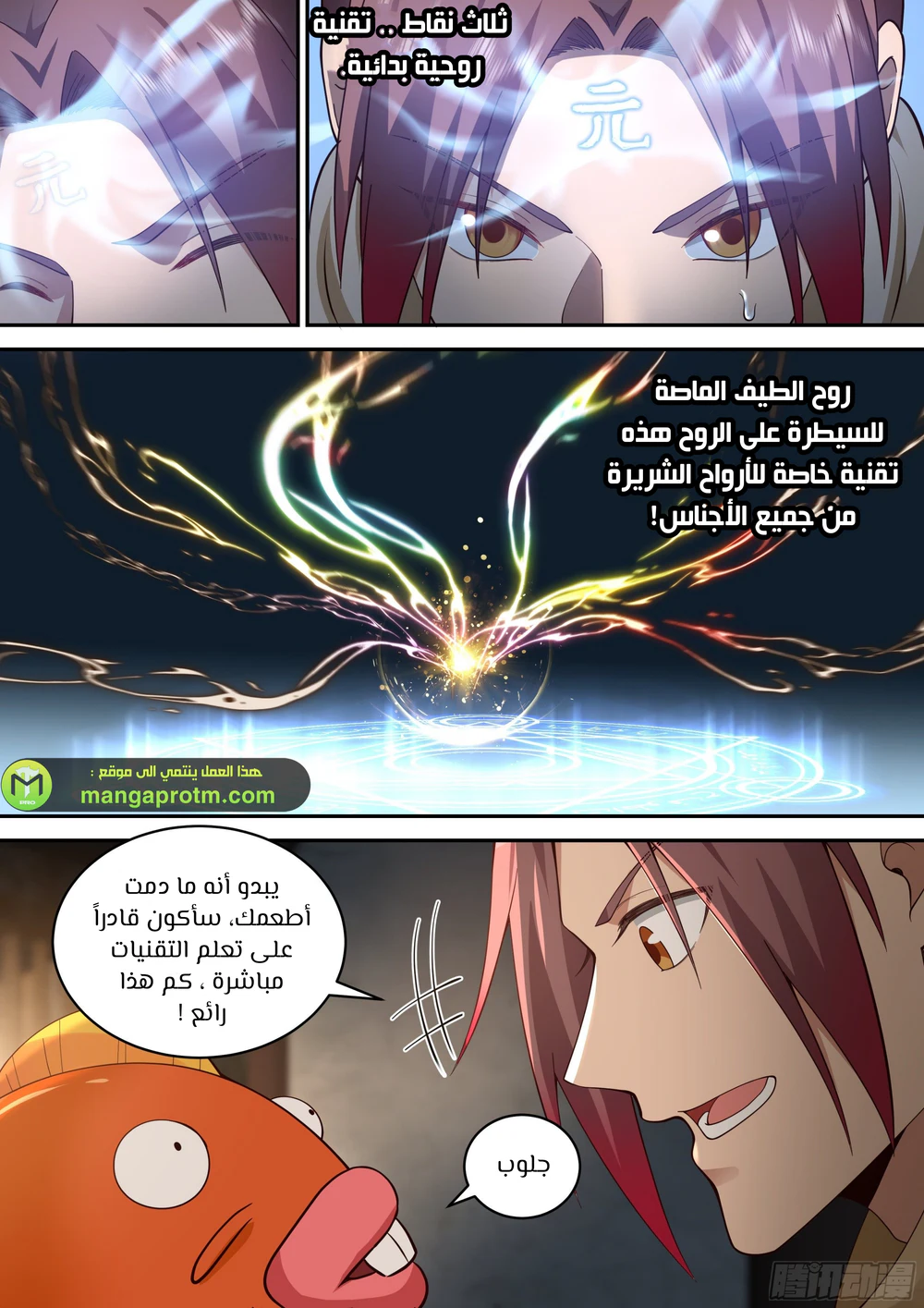 Chapter Image 4