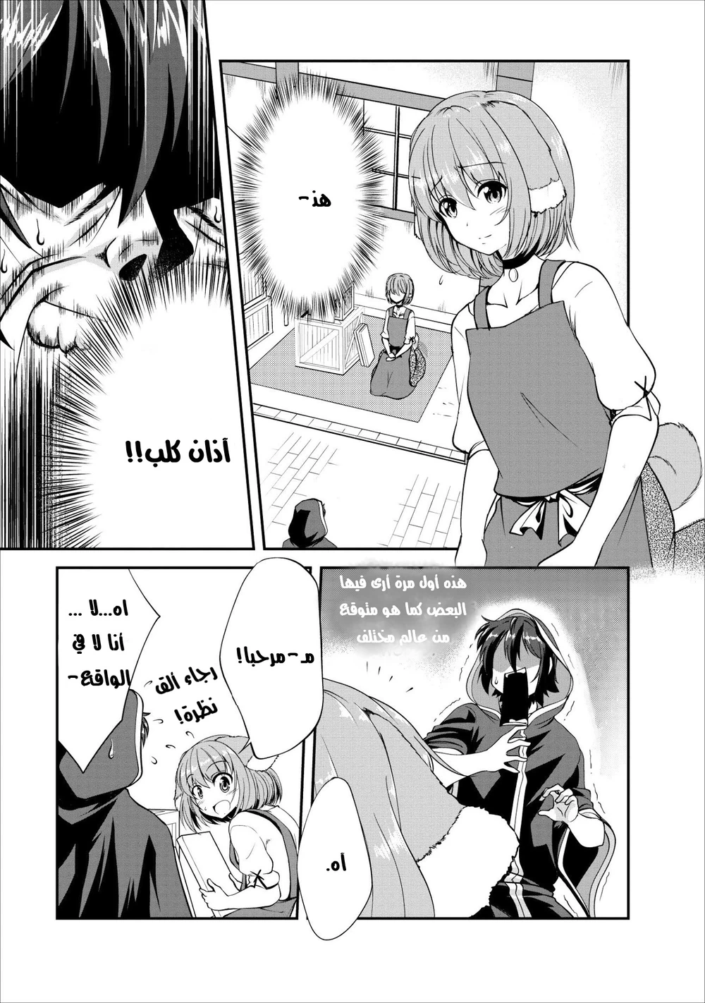 Chapter Image 6