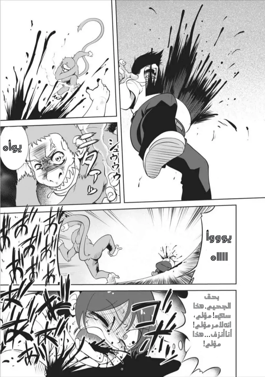 Chapter Image 5