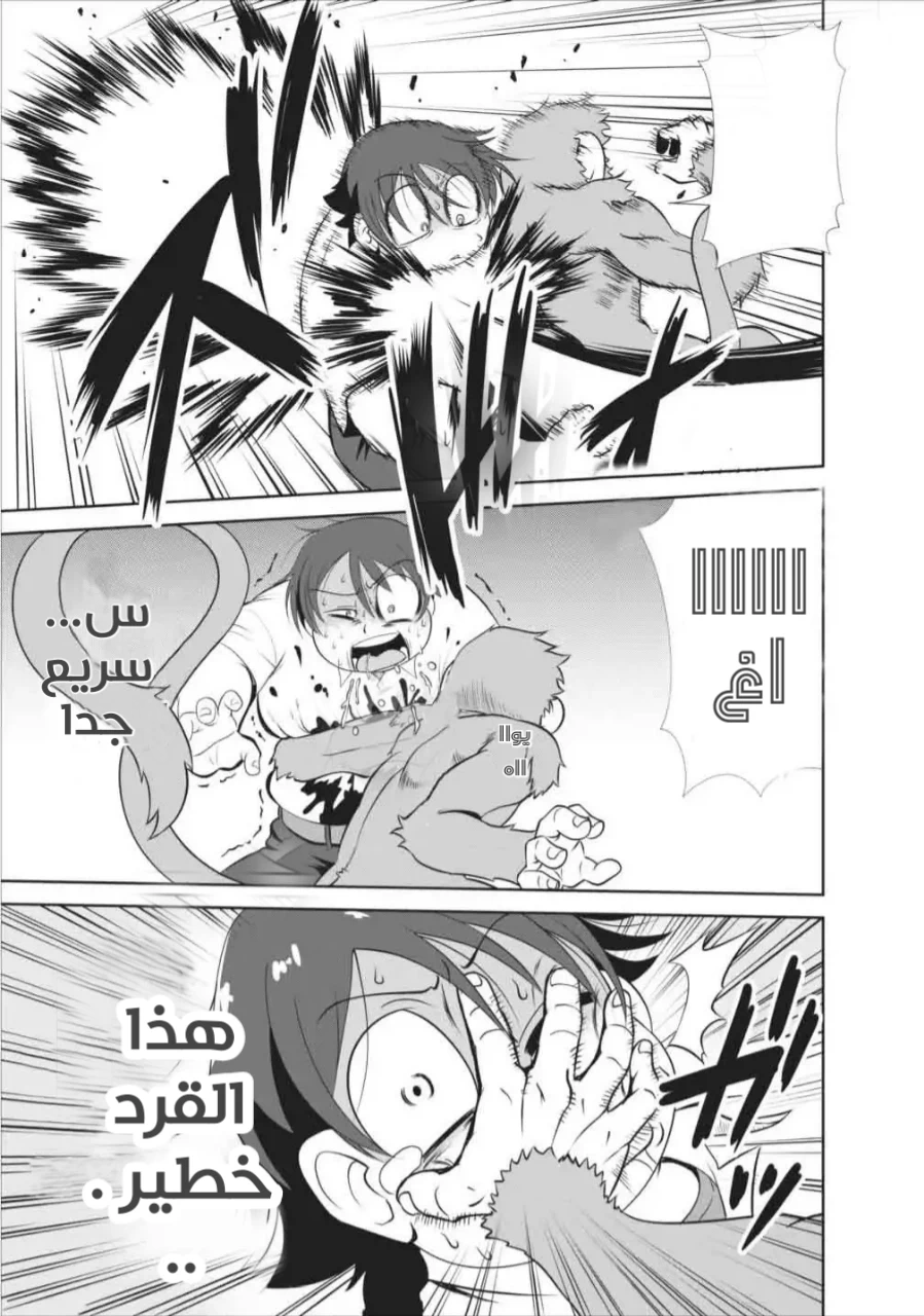 Chapter Image 7