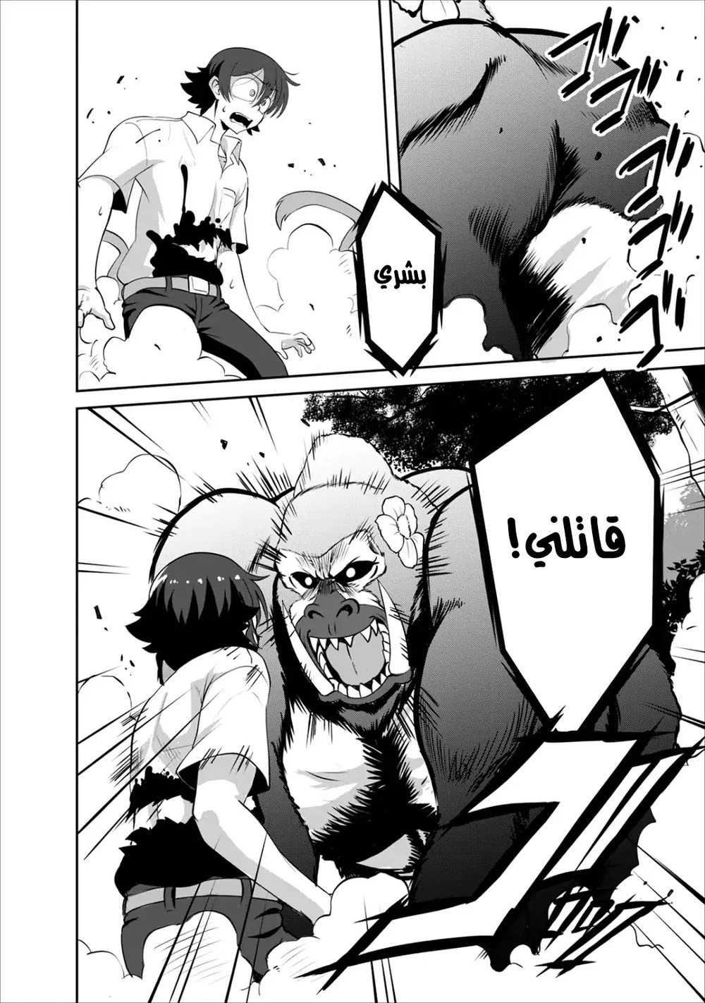 Chapter Image 14