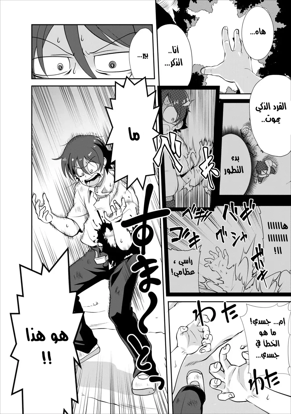 Chapter Image 5