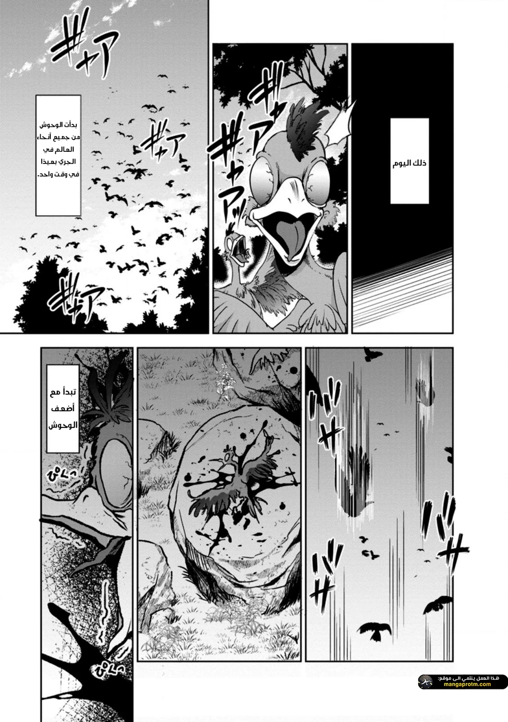Chapter Image 1