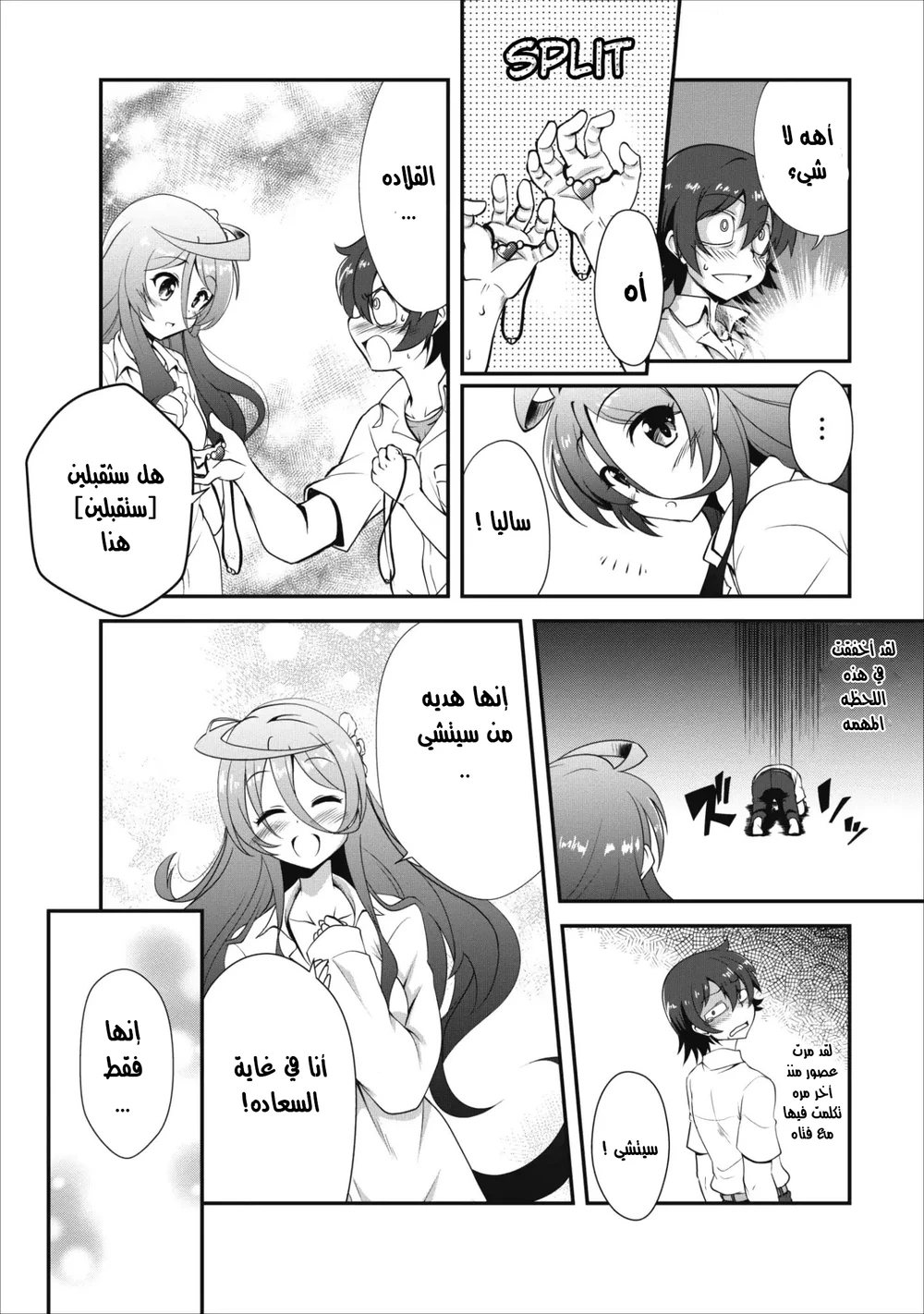 Chapter Image 4