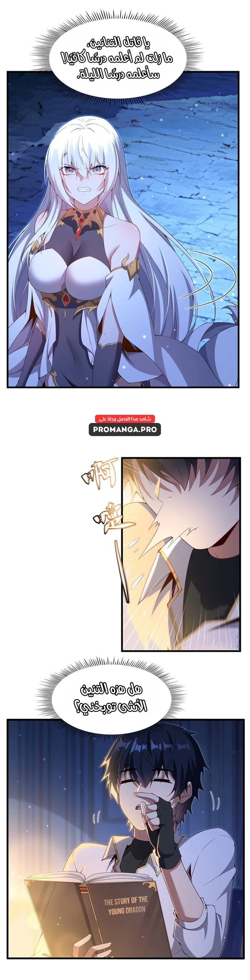 Chapter Image 3