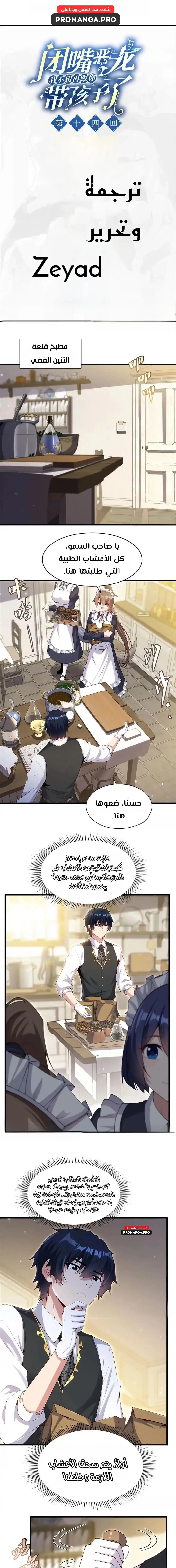 Chapter Image 1