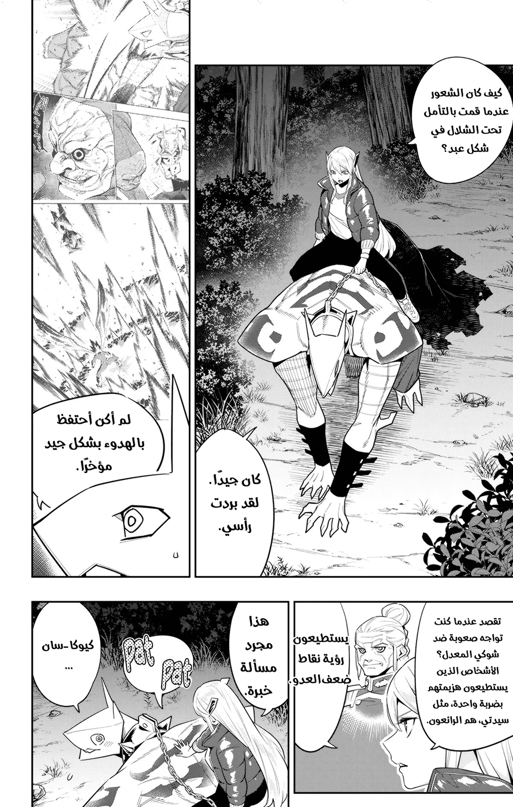 Chapter Image 2