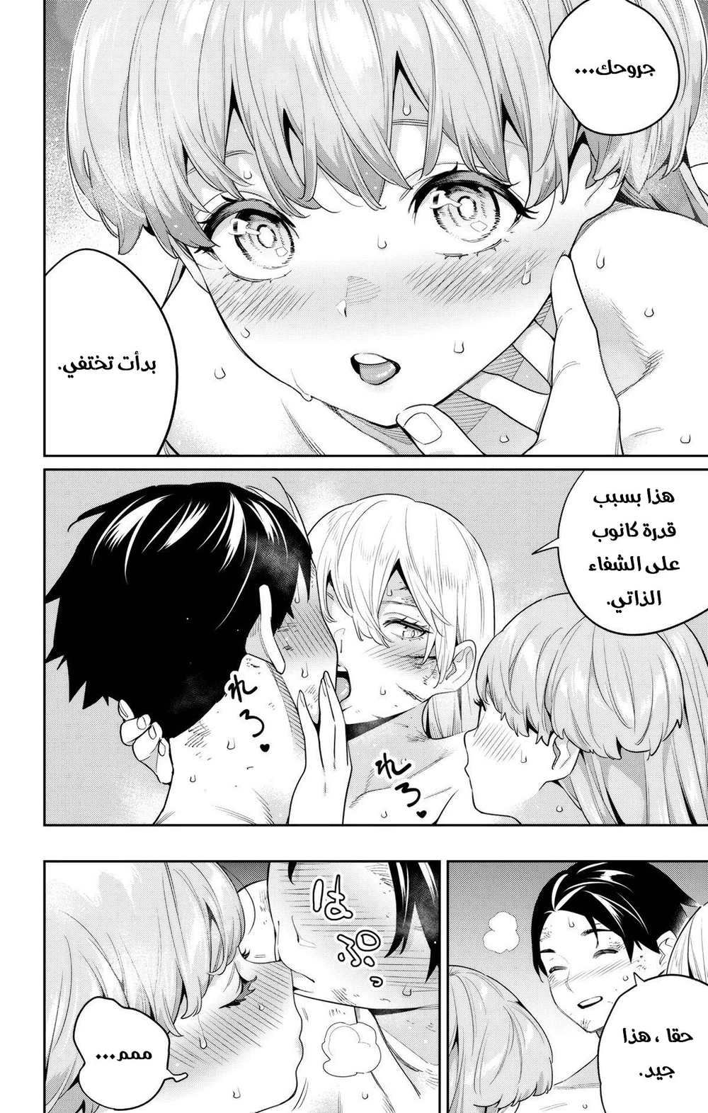 Chapter Image 3