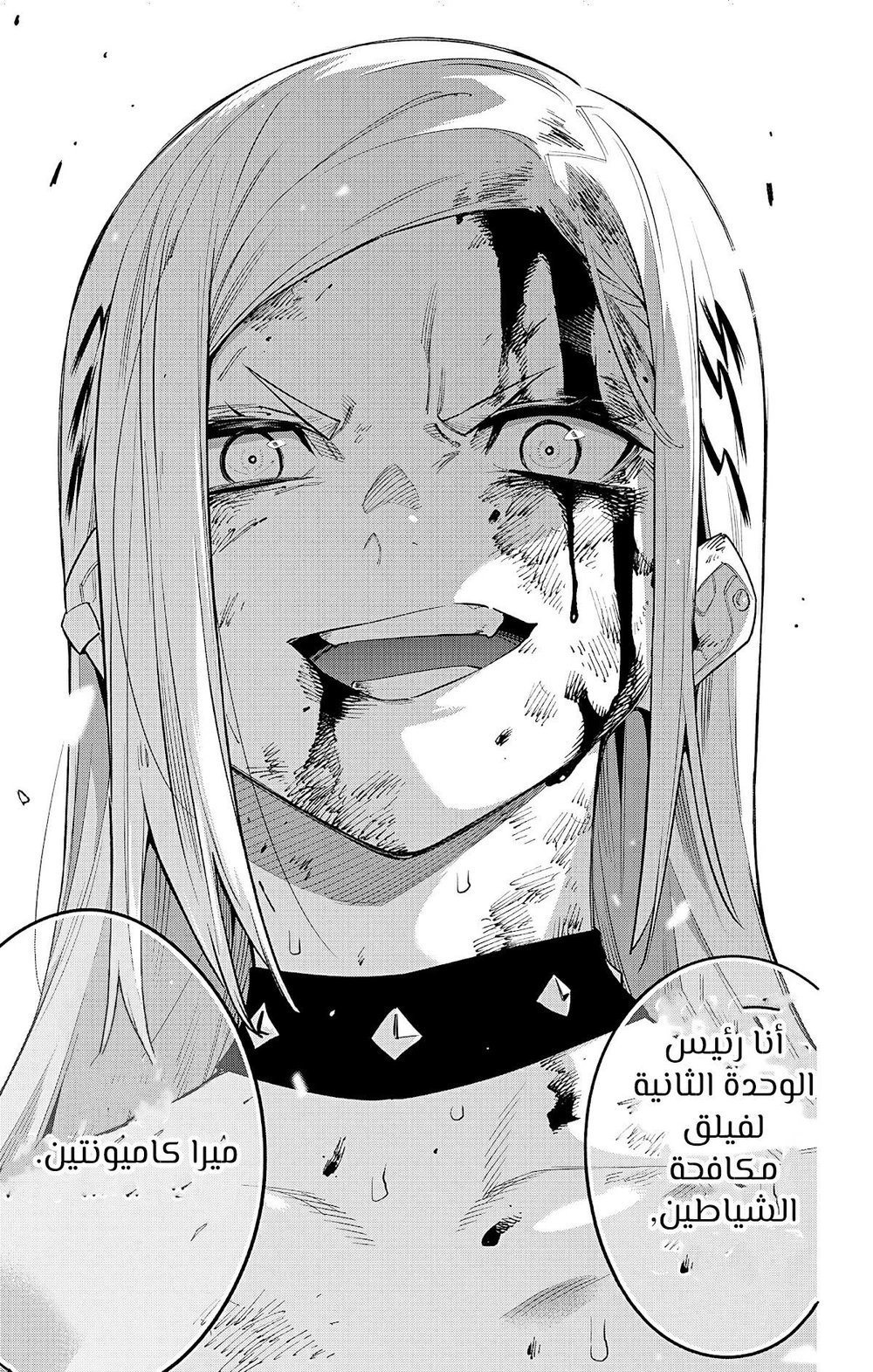 Chapter Image 17