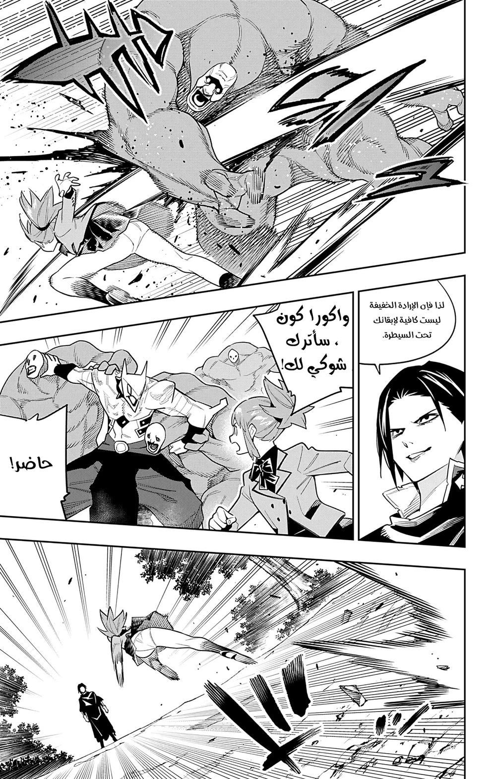 Chapter Image 5