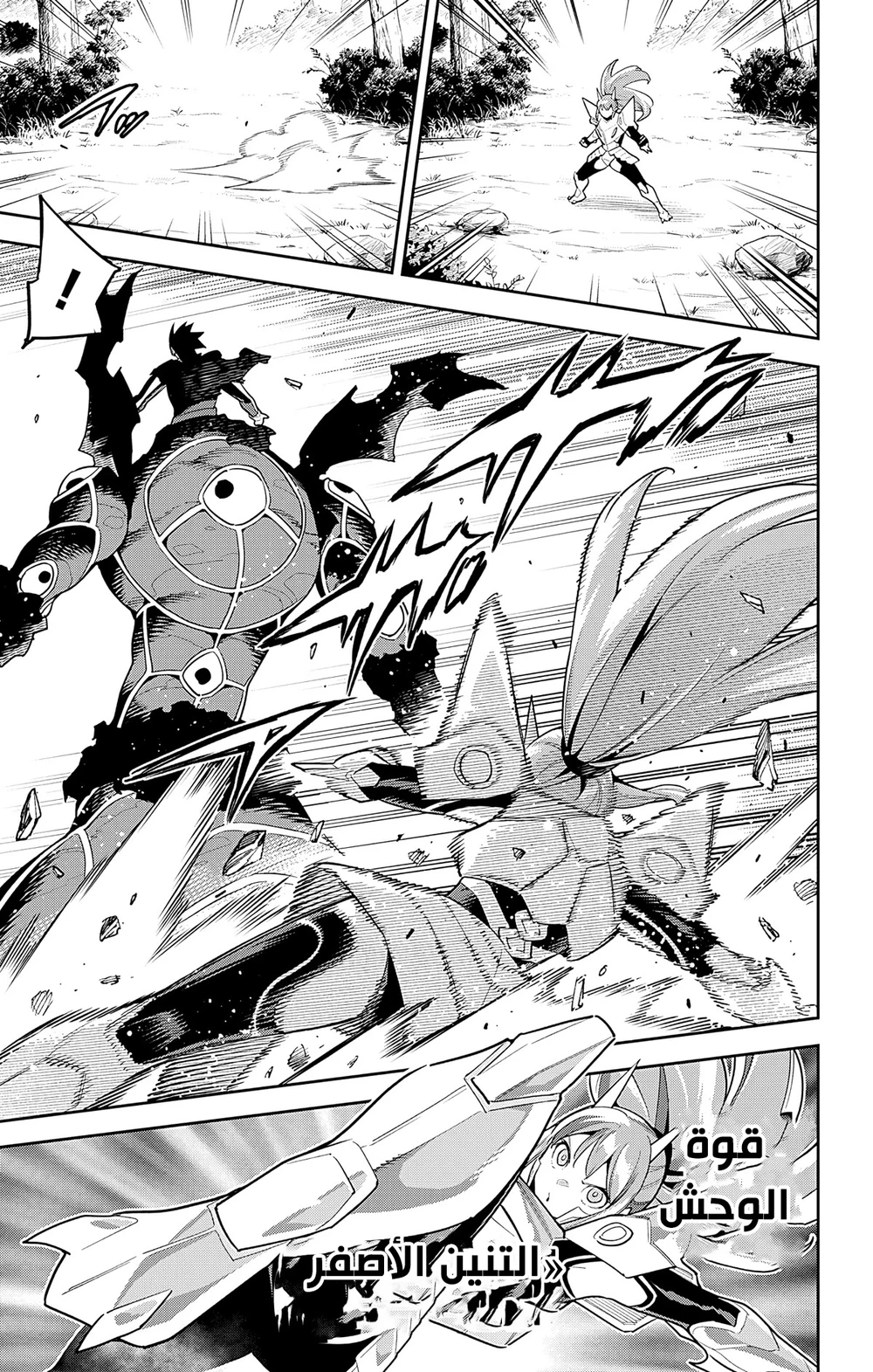Chapter Image 3