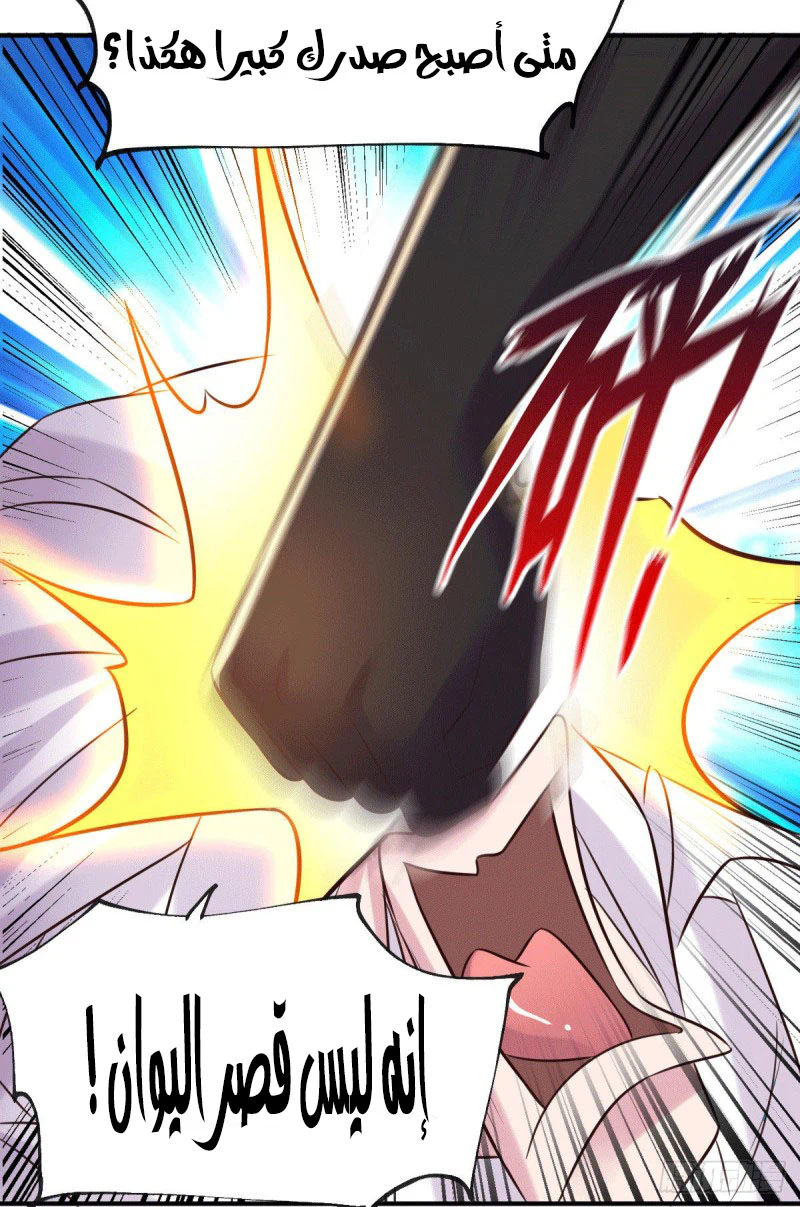 Chapter Image 5