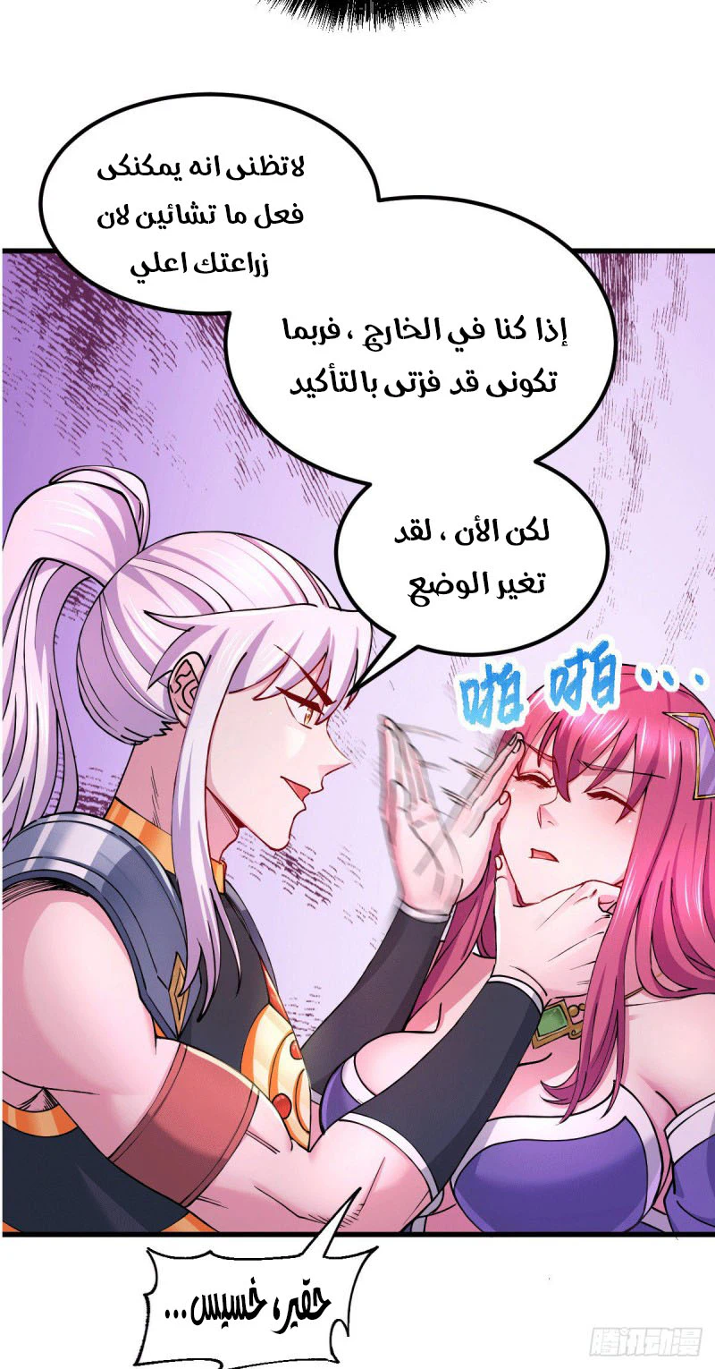 Chapter Image 5