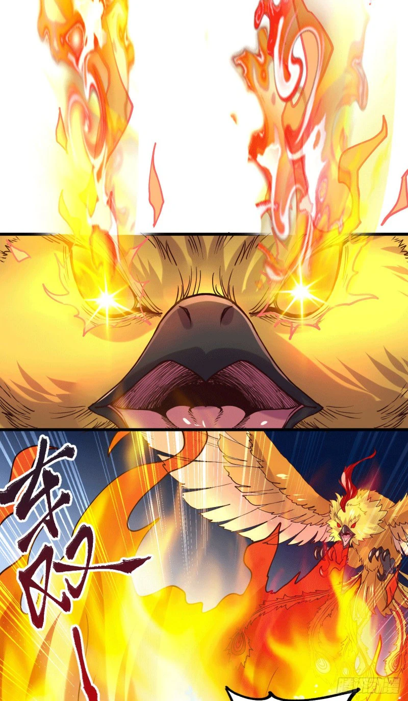 Chapter Image 12
