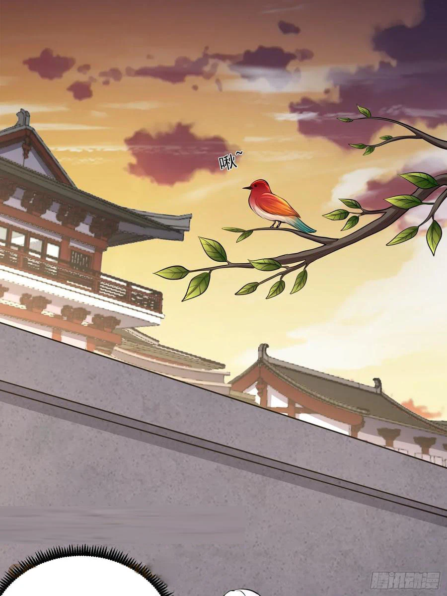 Chapter Image 3