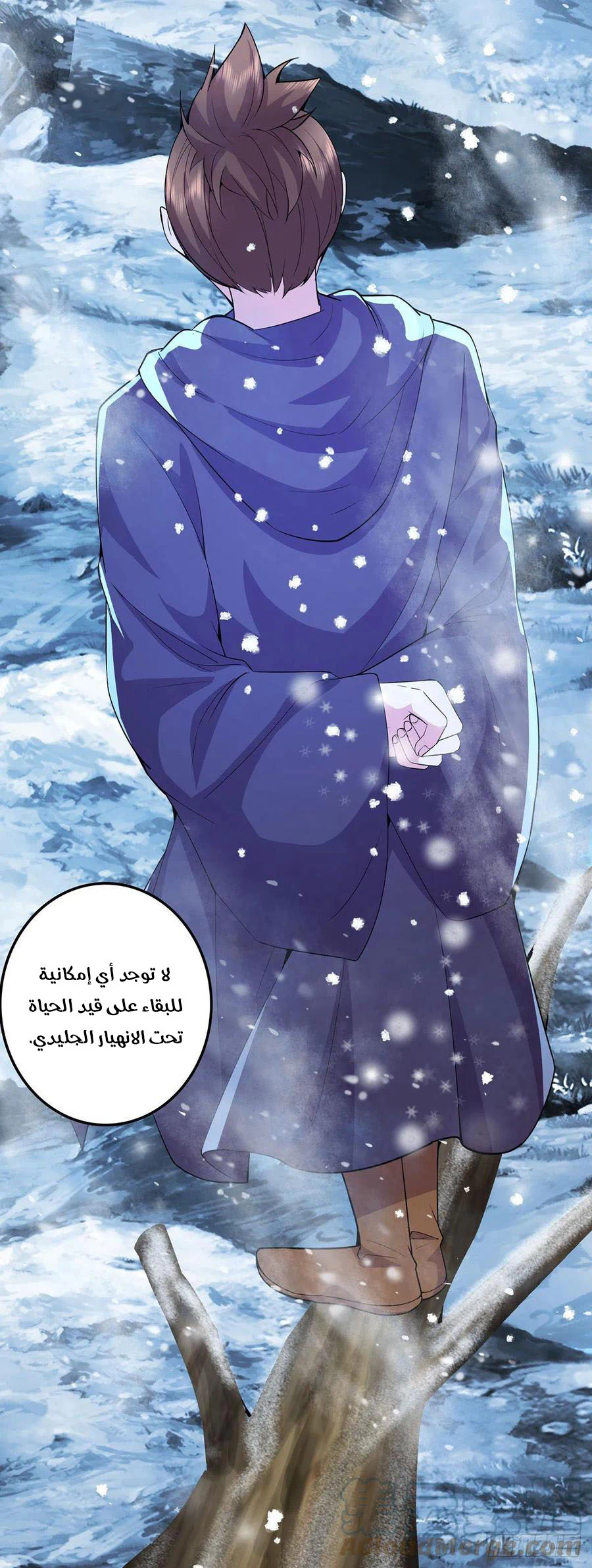 Chapter Image 4