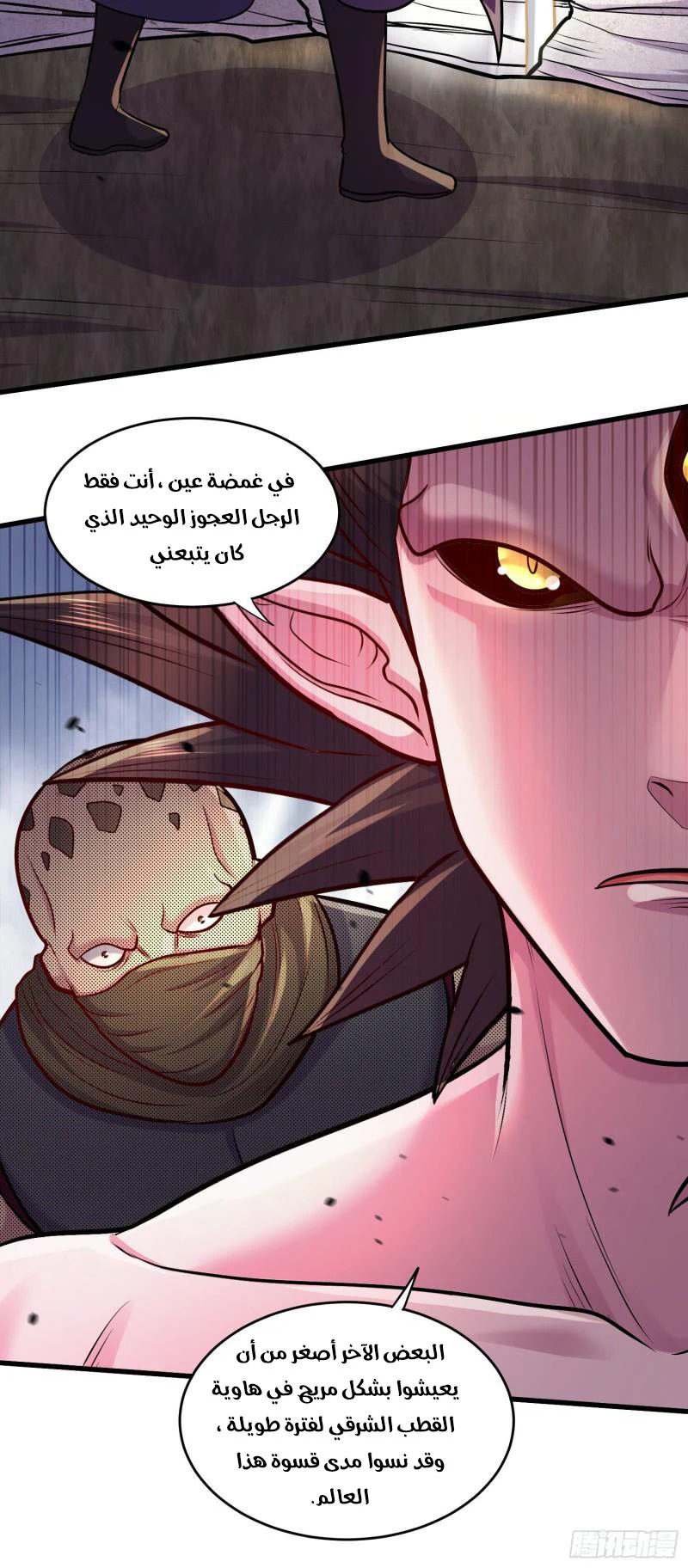 Chapter Image 11