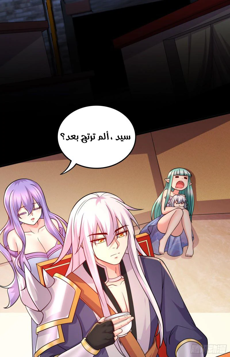 Chapter Image 4